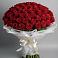 Букет 101 Красная роза Блэк Мэджик в Джерокае