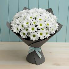 Букет цветов из:  Хризантемы #REPLACE_PRED# Джерокае