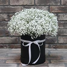 Цветочная композиция из Гипсофила в шляпной коробке в Джерокае