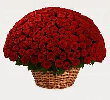 Премиум букет из: Розы в Джерокае